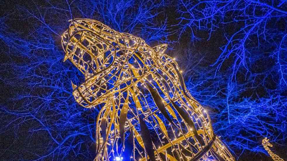 Best Christmas light shows UK Boundless by CSMA
